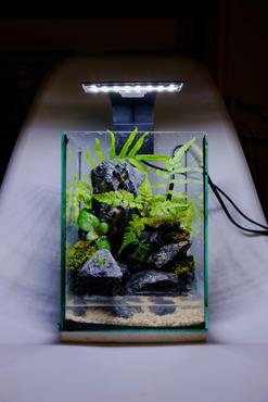 Nano & Pico Ecosystems for Urbanites