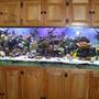 reef tank (mostly live coral and fish) - 180g sps dominated reef. 100g sump, 70g 'fuge, 40g inline prop tank (sump, 'fuge, and prop tank are all in the basement below the tank).