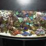 175 gallons reef tank (mostly live coral and fish)
