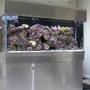 reef tank (mostly live coral and fish)
