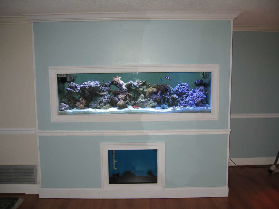 what is a refugium