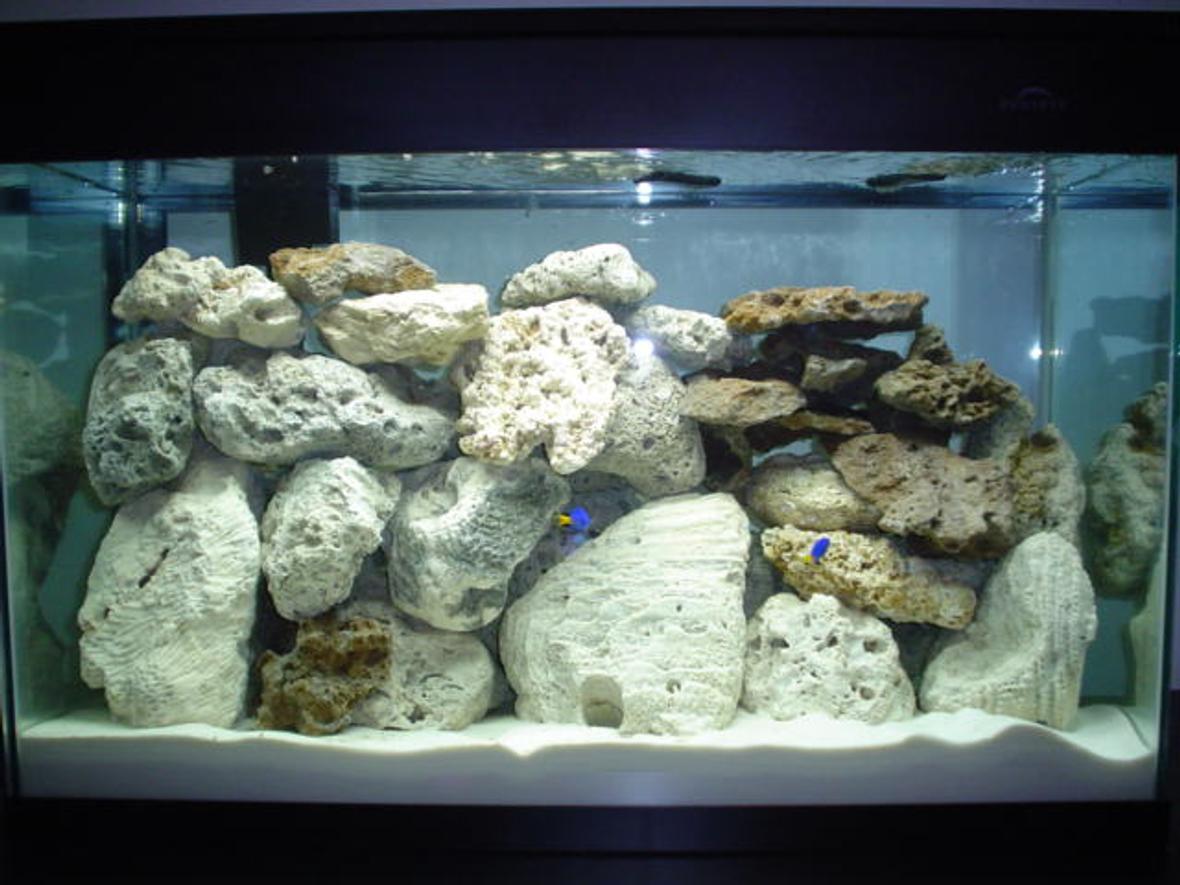 30 gallons saltwater fish tank (mostly fish, little/no live coral) - updated