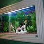 13 gallons freshwater fish tank (mostly fish and non-living decorations) - Aquatica Gallery Wall-Mounted Fish Tank. The solid wood frame and cabinet make the fish tank a very classy decorating furniture in my living room. Notice that medium size plants are used on the either sides of the tank to cover up the submerged heater and filter.