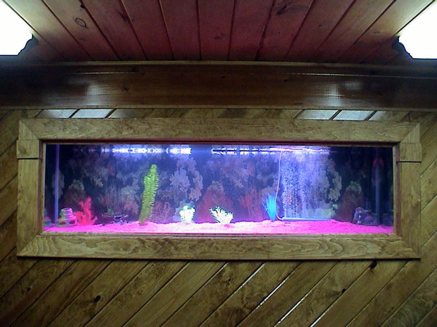 Rated #3112: 125 Gallons Freshwater Fish Tank - pic #2