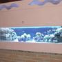 250 gallons reef tank (mostly live coral and fish) - 250l,lps tridacne,xenia