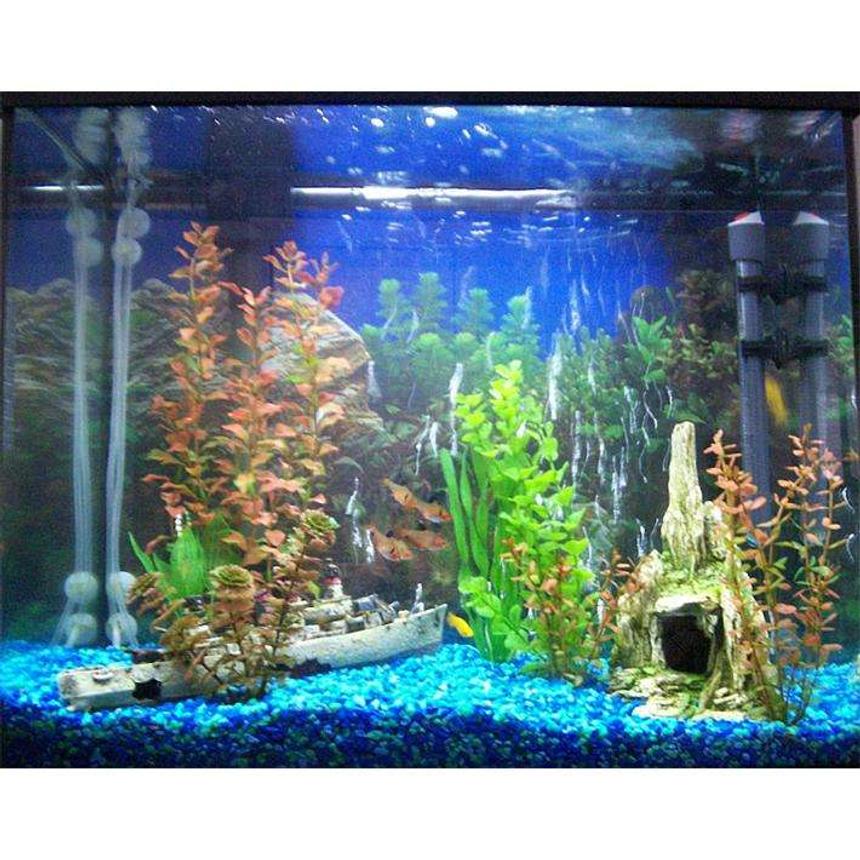 Rated #462: 25 Gallons Freshwater Fish Tank - new picture of my tank