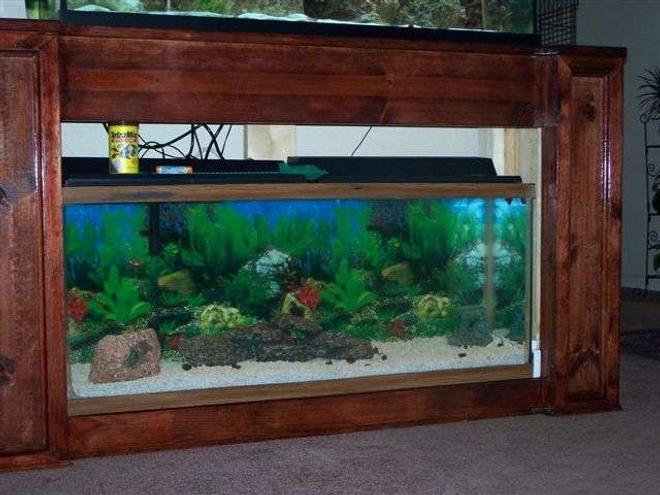 55 gallons planted tank (mostly live plants and fish) - the plants are just buds at the time but I will update the pics as we add to it