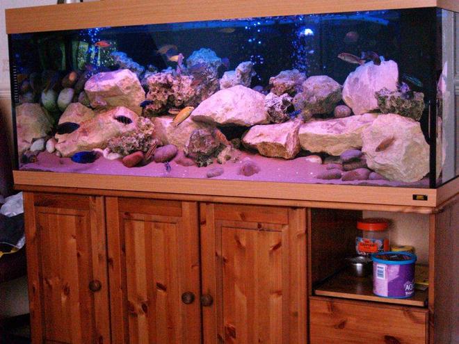 87 gallons freshwater fish tank (mostly fish and non-living decorations) - Malawi Mansion is a Jewel 400L
Filtered by jewel jumbo internal and Eheim ecco 600lph external filter.
Rockwork is of cotswold and ocean rock with north sea pebbles.
Substrate is of fine sand.
Lighting is of aqua glo and marine blue.
Airpump is TetraTec 400