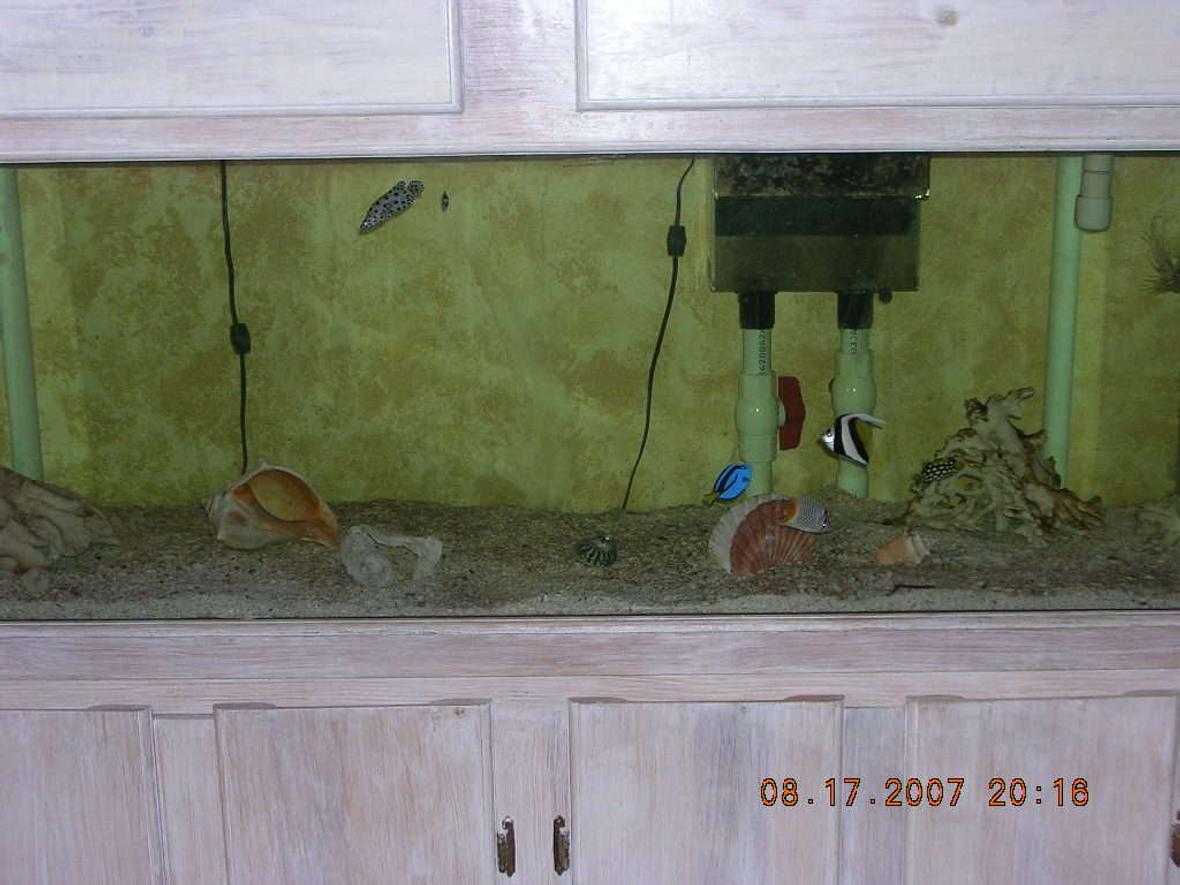 100 gallons saltwater fish tank (mostly fish, little/no live coral) - 100 GAL SALTWATER TANK, W WET/DRY FILTRATION AND CRUSHED CORAL ROCK ITS 3 MONTHS OLD