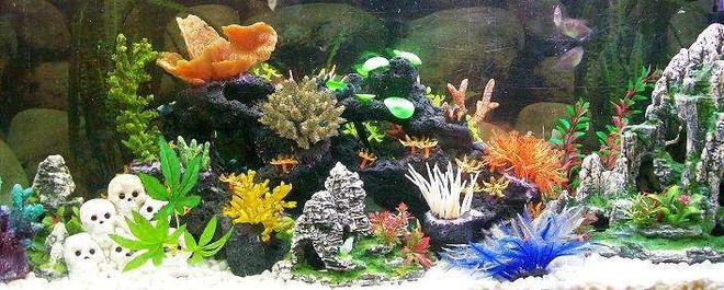 freshwater fish tank (mostly fish and non-living decorations) - ..Fake Neon Reef.. Tropical Freshwater..