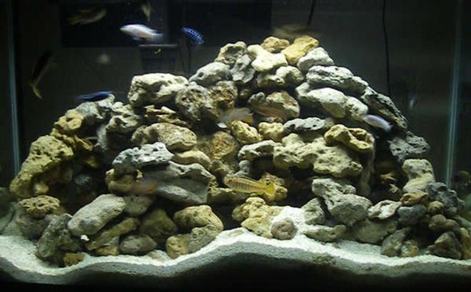 29 gallons freshwater fish tank (mostly fish and non-living decorations) - 29 gallon African tank. Standard lighting, penguin 400 bio filter. Important run tank light in 4 hour shifts to avoid algae problems.  I will be moving my fish to a 55 gallon when they grow.