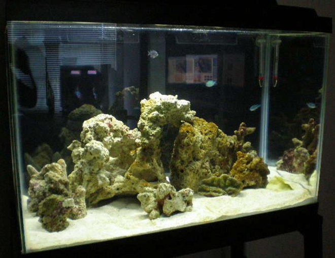 20 gallons saltwater fish tank (mostly fish, little/no live coral) - see you later aligator! see you in 4 weeks... 

aleloco :)