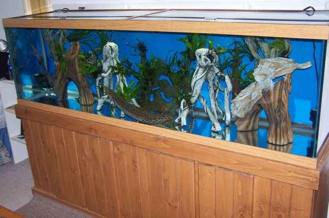 125 gallons freshwater fish tank (mostly fish and non-living decorations) - lungfish in my 125g 4 overflows int 30g sump.I have 2 cubic feet of lava rock in a garbage can that is plumbed to my sump at the last stage with my return pump to avoid debri in biofilter.I have used this method with great results in fresh and reef tank applications avoiding the need for sand or gravel in main tank but still getting positive biological filtration with less maintanence.