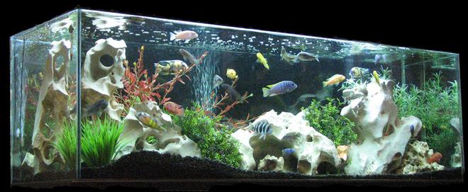 110 gallons freshwater fish tank (mostly fish and non-living decorations) - 110 Gal tank sits in my living room. I got it for a steal on Criagslist. It is 5' long and the highlight of my room. I have both a blue and white light but typically only have the white on.