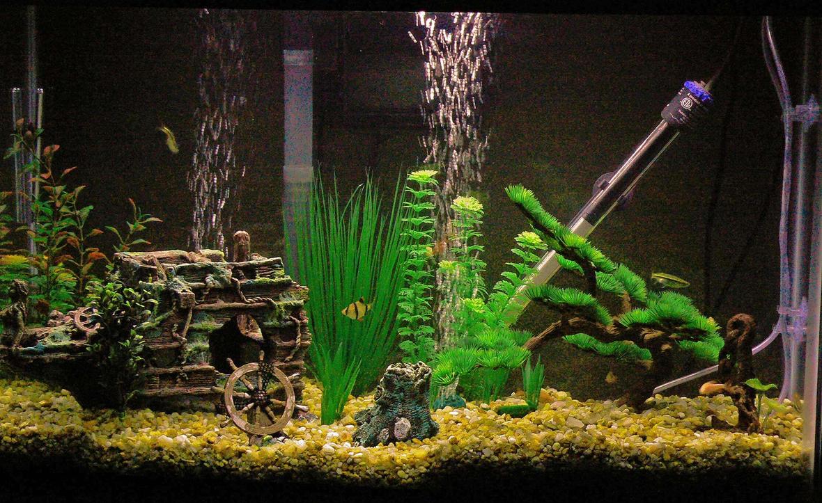 30 gallons freshwater fish tank (mostly fish and non-living decorations) - 30 gallon Barb tank...