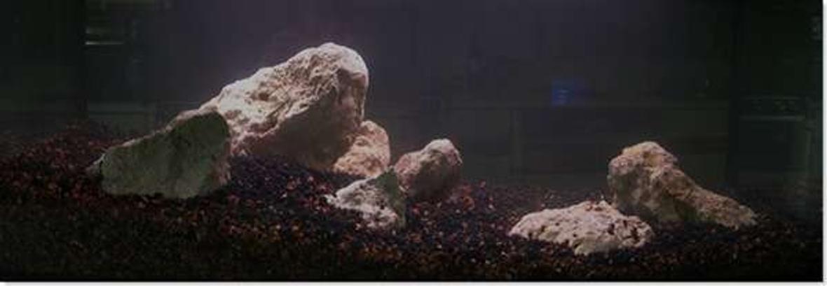 20 gallons planted tank (mostly live plants and fish) - Rocks and Laterite in place. More to come.