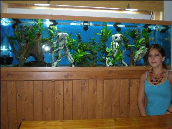 125 gallons freshwater fish tank (mostly fish and non-living decorations) - 125g