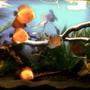 50 gallons planted tank (mostly live plants and fish) - second tank