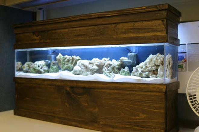 saltwater fish tank (mostly fish, little/no live coral) - Updated photo of my DIY 5 gallon  tank