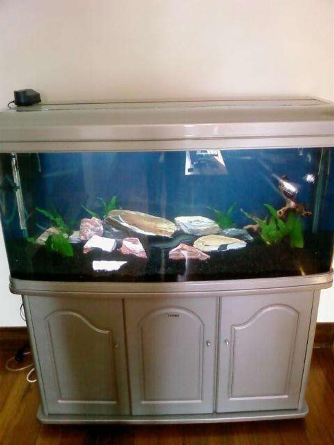 75 gallons freshwater fish tank (mostly fish and non-living decorations) - 75 gallon tank only just setup no fish yet..got some slate and sandstone in there