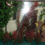 10 gallons freshwater fish tank (mostly fish and non-living decorations) - My first tank I set up 4 days ago. I'm still trying to figure this out!