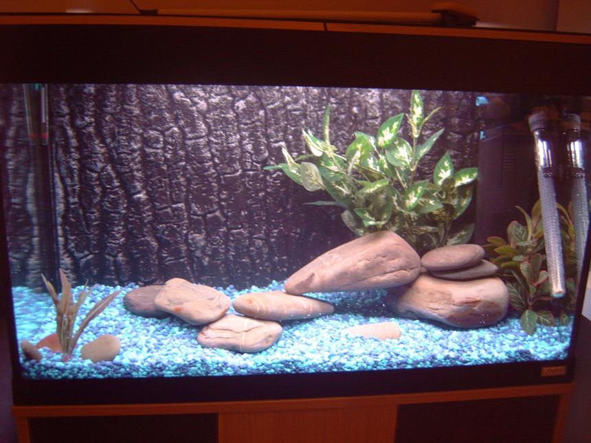 Rated #359: 27 Gallons Freshwater Fish Tank - fluval roma 125