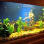 fish tank picture - View 3