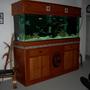 265 gallons freshwater fish tank (mostly fish and non-living decorations) - My 265 with hand made Hood and Stand. 72" solar hood power compact 6 X 65W lights with wireless programable remote, Seio 820 twin power heads, Twin Magdrive 1200 pumps, 300 sump, plus UV Sterilizer