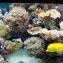 fish tank picture - 3 years