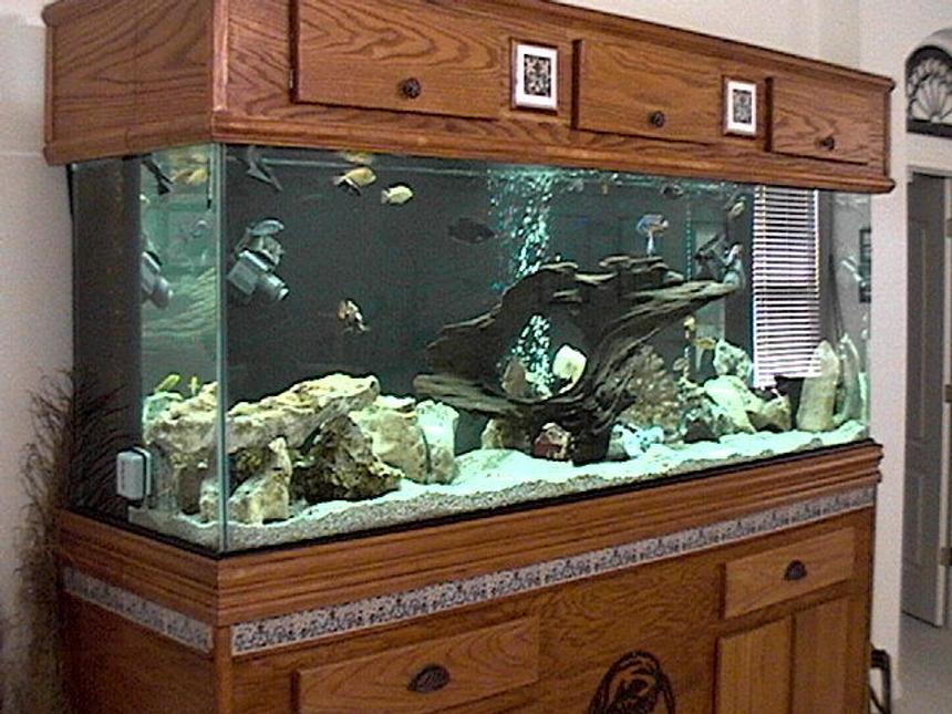 Rated #24: 265 Gallons Freshwater Fish Tank - 265