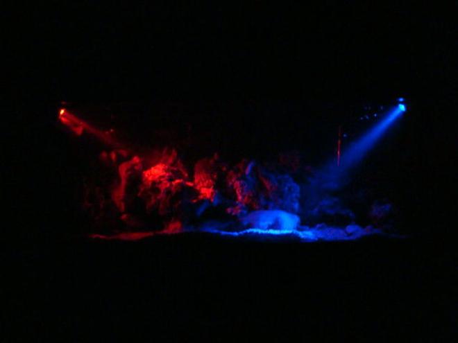 75 gallons freshwater fish tank (mostly fish and non-living decorations) - we gOt moRe l1ghts. loOks l!ke da pOlice