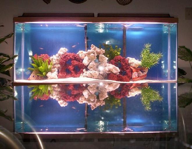 55 gallons freshwater fish tank (mostly fish and non-living decorations) - 55G freshwater