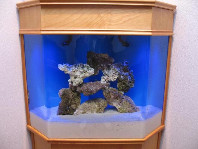 38 gallons saltwater fish tank (mostly fish, little/no live coral) - Just setting up - more to come soon.