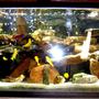 60 gallons freshwater fish tank (mostly fish and non-living decorations) - 60g malawi tank... filtered by two penguin 350 biowheel filters, and a 660gph under gravel jet system with fine sponge on the intake tube... lighting is a home depot light fixture with two phillips 40w bulbs... one large piece of egg crate cut to accomodate the undergravel jet system... substrate is target play sand from home depot... rock background is three tiles of slate made to fit... aeration via 48" marineland flexible bubble wand powered by a whisper 100 pump... heated by a 300w ebo-jager...