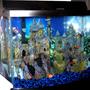 28 gallons freshwater fish tank (mostly fish and non-living decorations) - Medieval Village - 28 G Bowfront