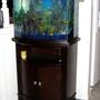 fish tank picture - Full view - tank and stand