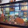 fish tank picture - Another Angle...
