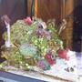 28 gallons reef tank (mostly live coral and fish) - updated pics