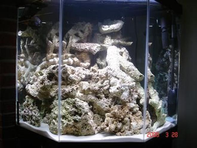 45 gallons saltwater fish tank (mostly fish, little/no live coral) - 70 lbs rock curing