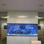 fish tank picture - more pics