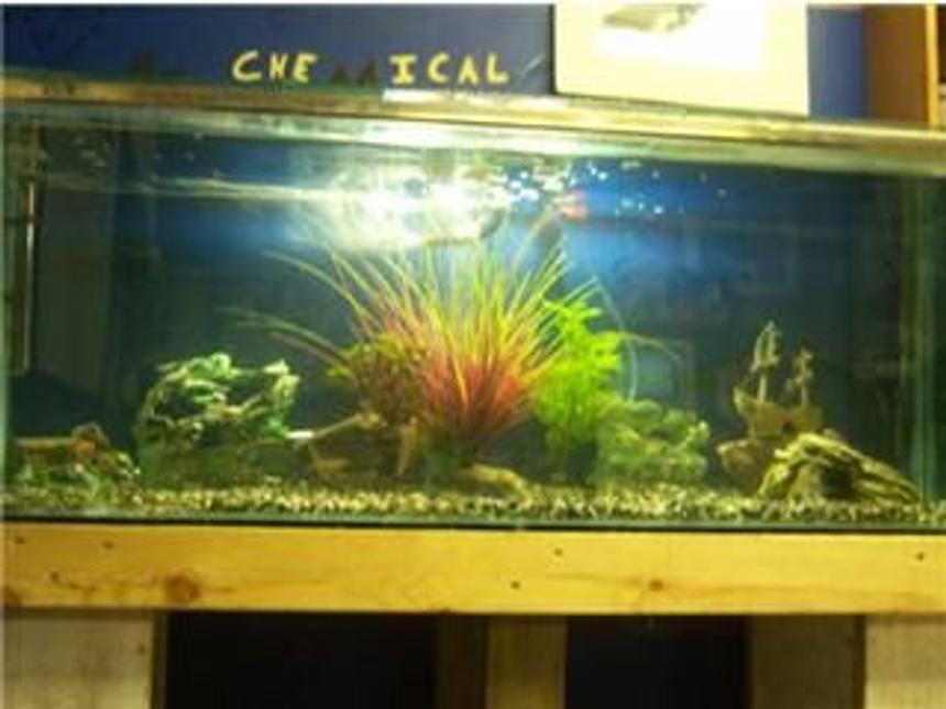 Rated #2125: 70 Gallons Planted Tank - The Second Day Of My Tank Set Up.