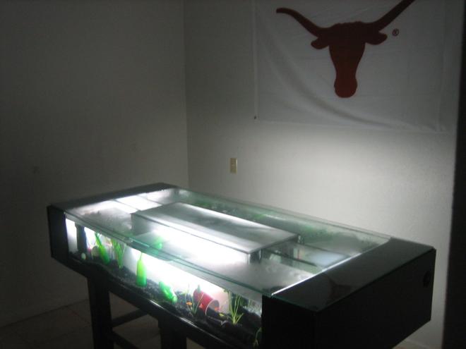 40 gallons freshwater fish tank (mostly fish and non-living decorations) - There are 2 22 gallon tanks built into a beer pong table. The table is fully sealed on the outside and there is ventilation underneath the table to provide air circulation for the tanks. Tanks are approx. 5'' x 8 x 10 each. There is an automated ball washer separate water source sealed and isolated for washing ping pong balls in play. Lighting is always brighter in tank than in room so fish dont seem to notice beer pong much. Tabletanks built from scratch.Heating1 - 100W HYDOR theo heater1 - 100W Marineland Visitherm StealthLighting4 - 20W Natural Light Fluorescent Bulbs stripalternatively,4 - 20W Black Light Bulbs StripFiltration4 - Fluval 2plus internal filters, live plants