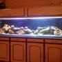 100 gallons saltwater fish tank (mostly fish, little/no live coral) - New setup
