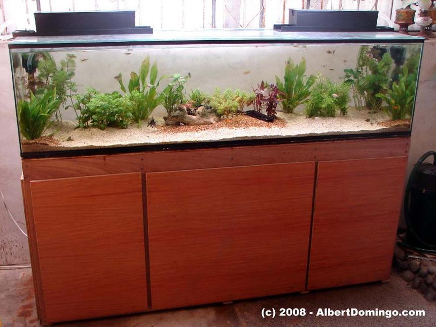 Rated #148: 100 Gallons Planted Tank - Overview of my aquarium system.
