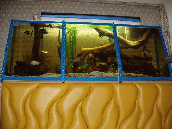 230 gallons freshwater fish tank (mostly fish and non-living decorations) - 220 gal  7'4" in length 3 ft high 11 panels of 3/8 tempered glass with  cichlids, and catfish