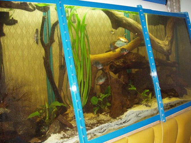 230 gallons freshwater fish tank (mostly fish and non-living decorations) - about a 100 lbs of crushed coral and aragonite works ok , i dont have co2 injection , ,i just add because of evaporation about 7 gal a week during the summer ,the waste builds up around the roots of the plants and they seem to thrive lots of driftwood from the ocean seems to help stabilize the water conditions also has quite a bit of salt ,always good,