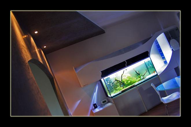 175 gallons planted tank (mostly live plants and fish) - My Tank