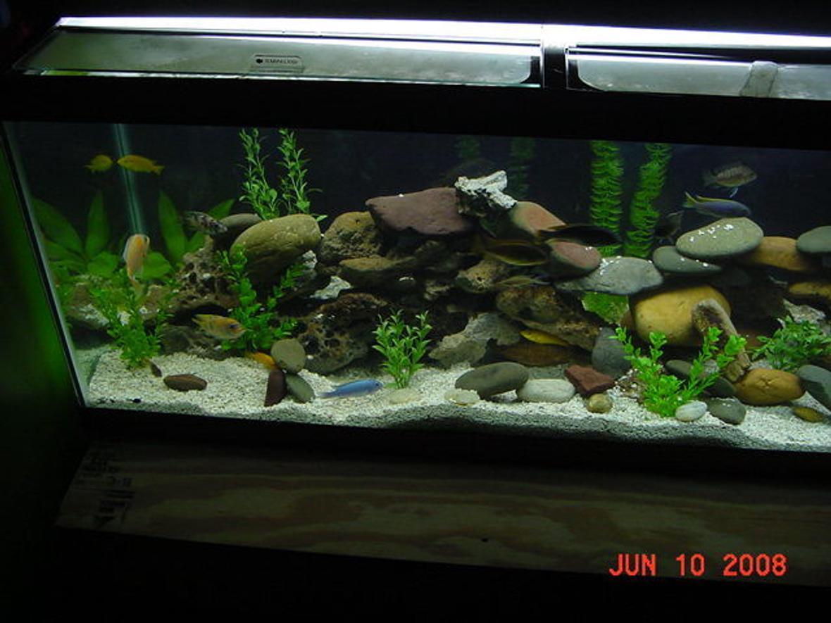 fish tank picture - Lace Rock Caves - Shot From Above