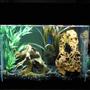 20 gallons planted tank (mostly live plants and fish) - 20-Gal. Long Semi-Aggressive Freshwater Tank