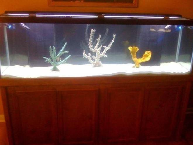125 gallons saltwater fish tank (mostly fish, little/no live coral) - 125 gallon